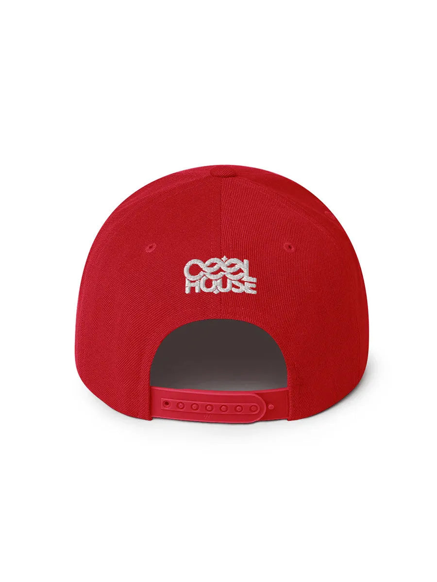 cool house red snapback hat - snapback hat back view