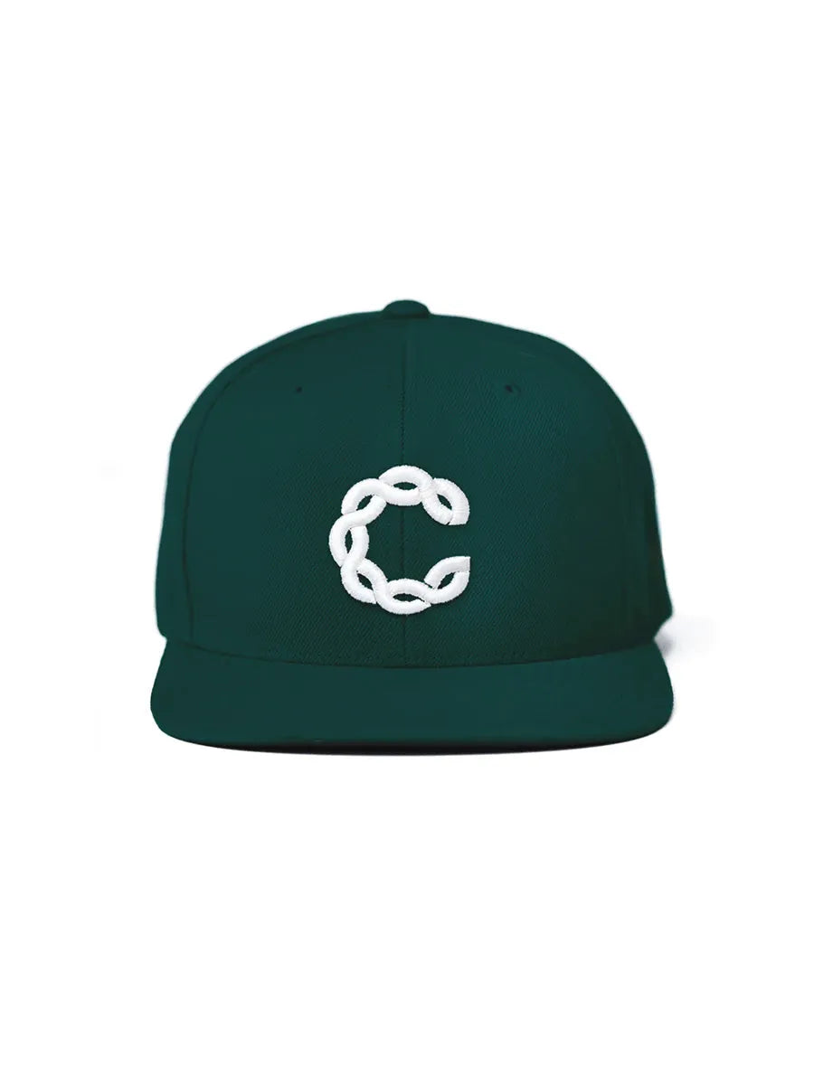 cool house spruce snapback hat - snapback hat with white wave c 